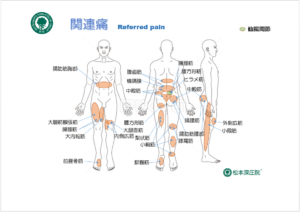 股関節と腰痛 松本深圧院グループ